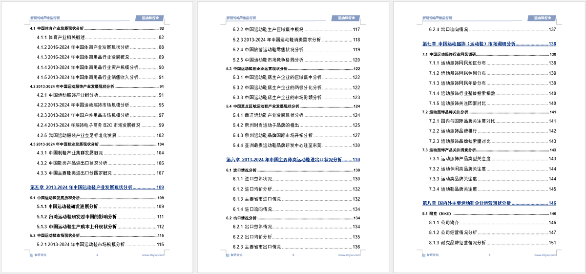 投资前景研究报告（2025-2031年）新利体育app中国运动鞋行业发展现状及
