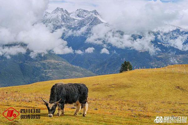 咬小头头原版观看蘑菇最新咬小头头原版观看蘑菇-(图2)
